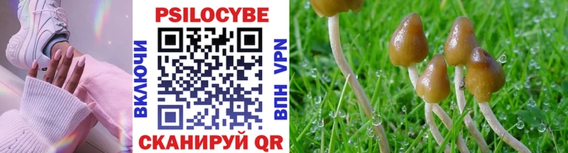 Галлюциногенные грибы прущие грибы  Купить  Приморск 