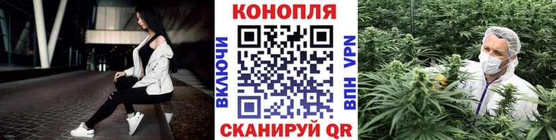 Купить закладки  Приморск  Бошки марихуана план 